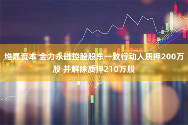 维嘉资本 金力永磁控股股东一致行动人质押200万股 并解除质押210万股