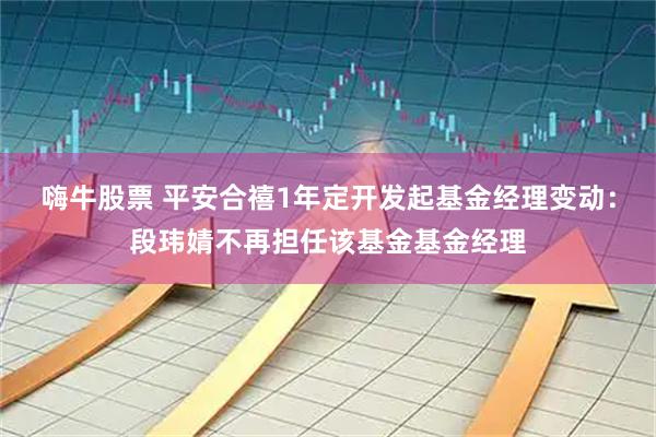 嗨牛股票 平安合禧1年定开发起基金经理变动：段玮婧不再担任该基金基金经理