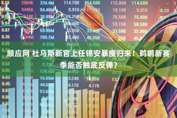 顺应网 杜马斯新官上任锡安暴瘦归来！鹈鹕新赛季能否触底反弹？