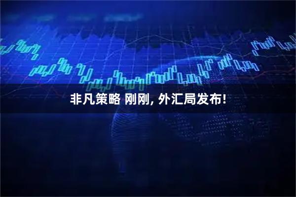 非凡策略 刚刚, 外汇局发布!