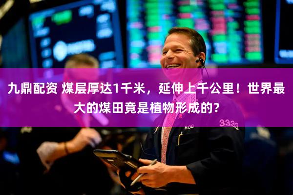 九鼎配资 煤层厚达1千米，延伸上千公里！世界最大的煤田竟是植物形成的？