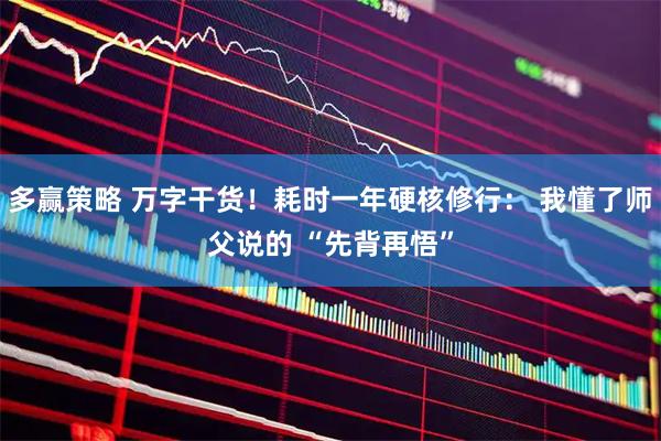 多赢策略 万字干货！耗时一年硬核修行： 我懂了师父说的 “先背再悟”