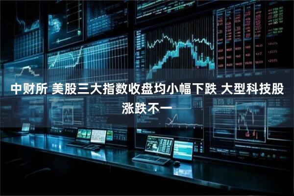 中财所 美股三大指数收盘均小幅下跌 大型科技股涨跌不一