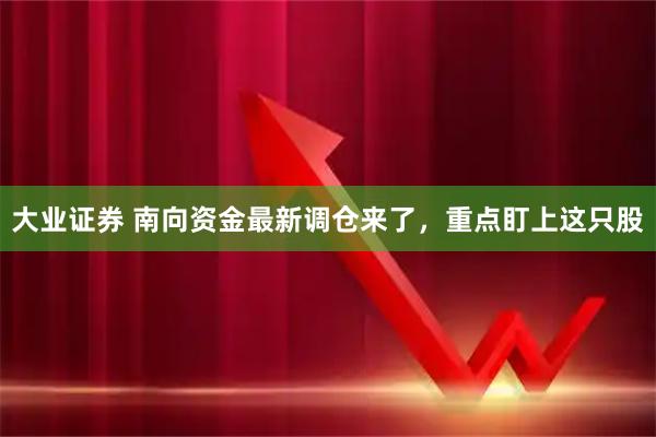 大业证券 南向资金最新调仓来了，重点盯上这只股