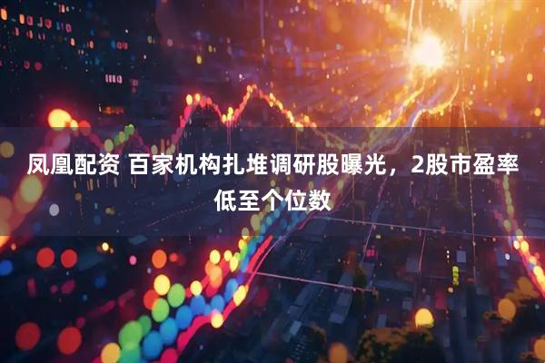 凤凰配资 百家机构扎堆调研股曝光，2股市盈率低至个位数